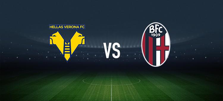 比赛和难忘 比赛和难忘