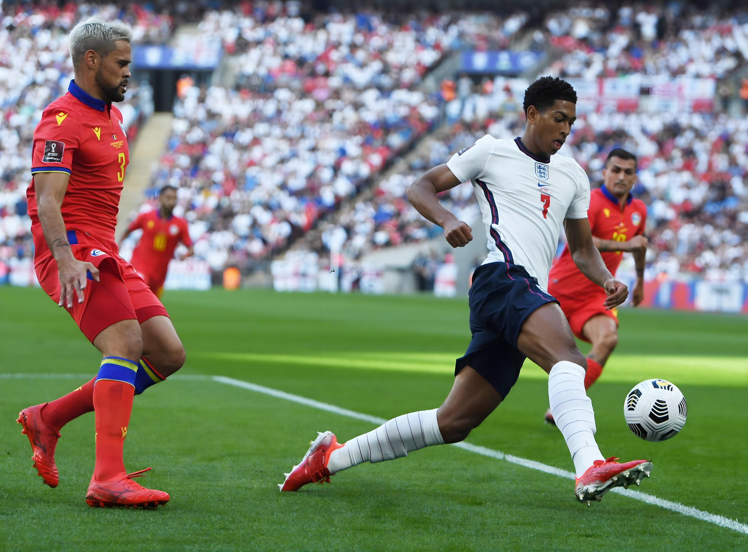 潜力新星需 潜力新星需